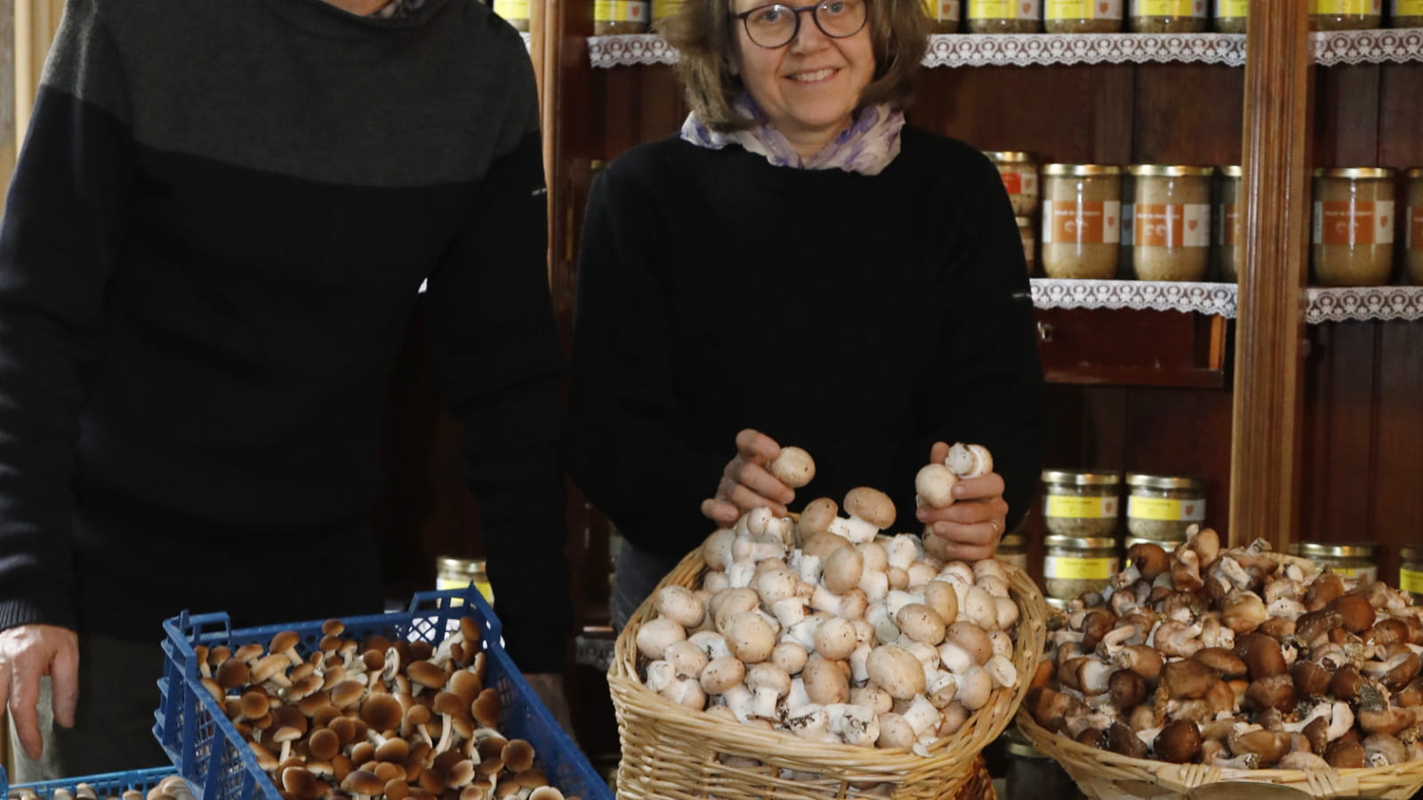 Champignonnière de Dijon