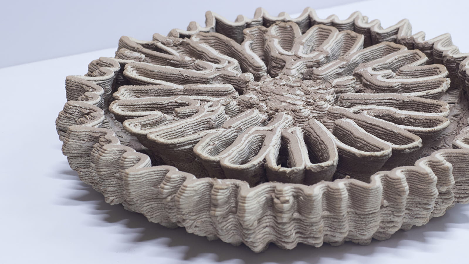 Rituels pour architectures coralliennes
