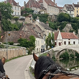 Balade de l'Armançon en calèche - SEMUR-EN-AUXOIS
