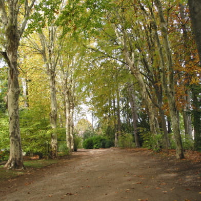 Parc de la Bouzaize