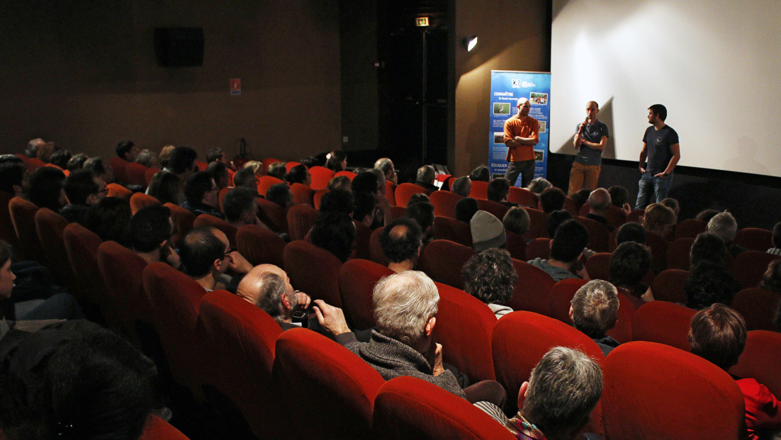 Les oiseaux aussi sont des pollinisateurs