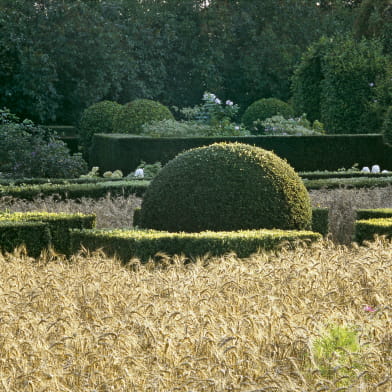 Rendez-vous aux jardins : jardin potager de Lantilly