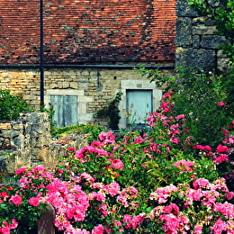 ALISE-SAINTE-REINE - ALISE-SAINTE-REINE