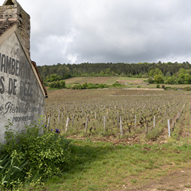 Mémoires de pierres