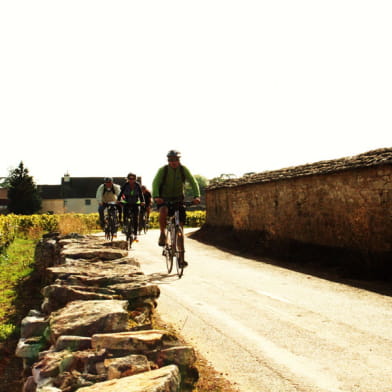 Active Tours : Les vignobles en vélo de Beaune à Mâcon (code: vanille)