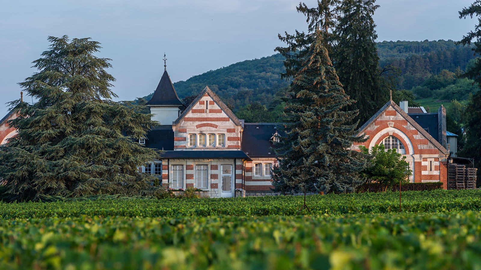 Domaine Henri de Villamont