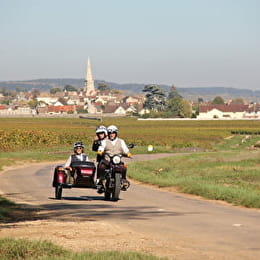EXCURSION EN SIDE-CAR DANS LE VIGNOBLE - BALADE 'L'ÂME DU TERROIR BOURGUIGNON'- 2H - MEURSAULT