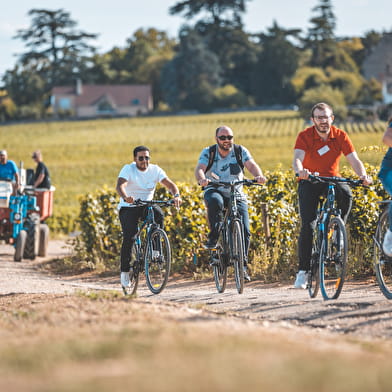 La Vélo Vie