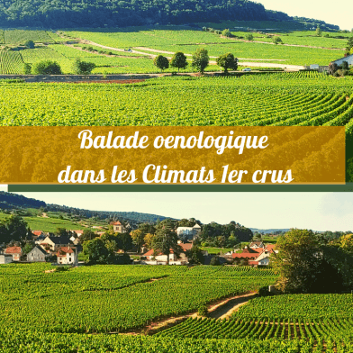 Les Apéro'Vignes