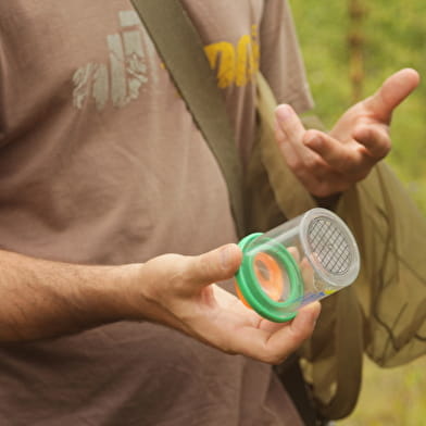 Le petit monde des insectes
