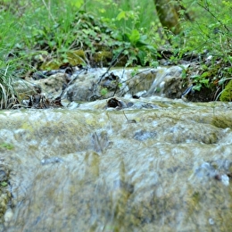 Les marais tufeux de pente _ENS2026  'sur réservation' - LEUGLAY