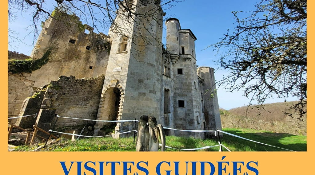 Visites du château de Rochefort Du 25 au 26 mai 2024