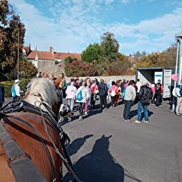 Les calèches de la Bohême - POUILLY-EN-AUXOIS