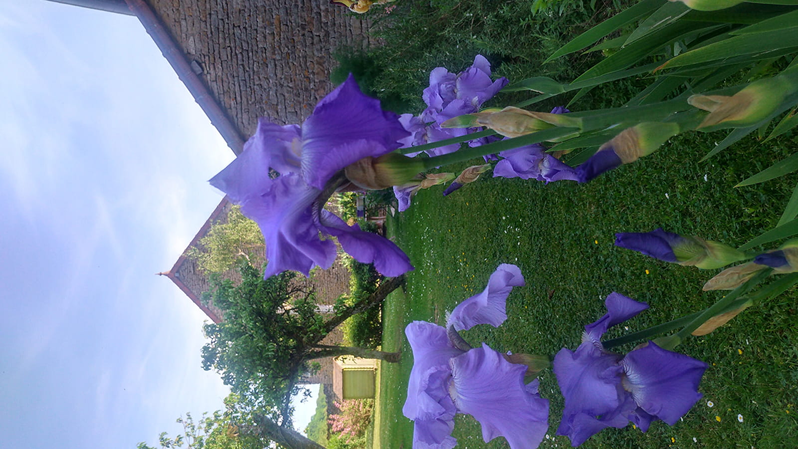VIDE JARDIN 30/04/2023