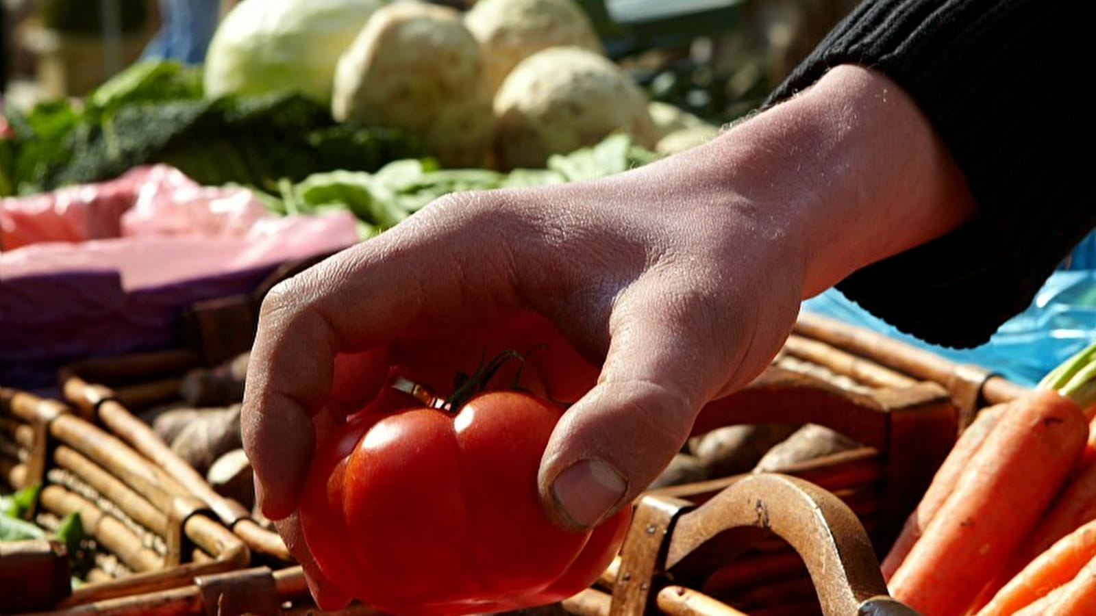 Marché de Santenay
