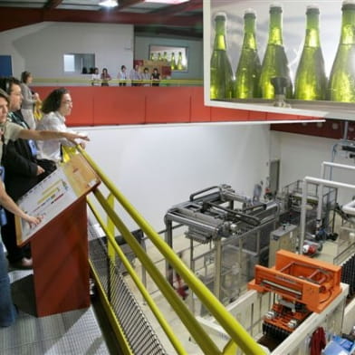 Veuve Ambal Crémant de Bourgogne - Visite du site de production