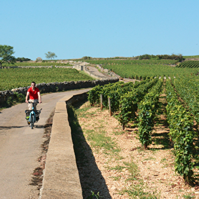 Pass'En Côte de Nuits