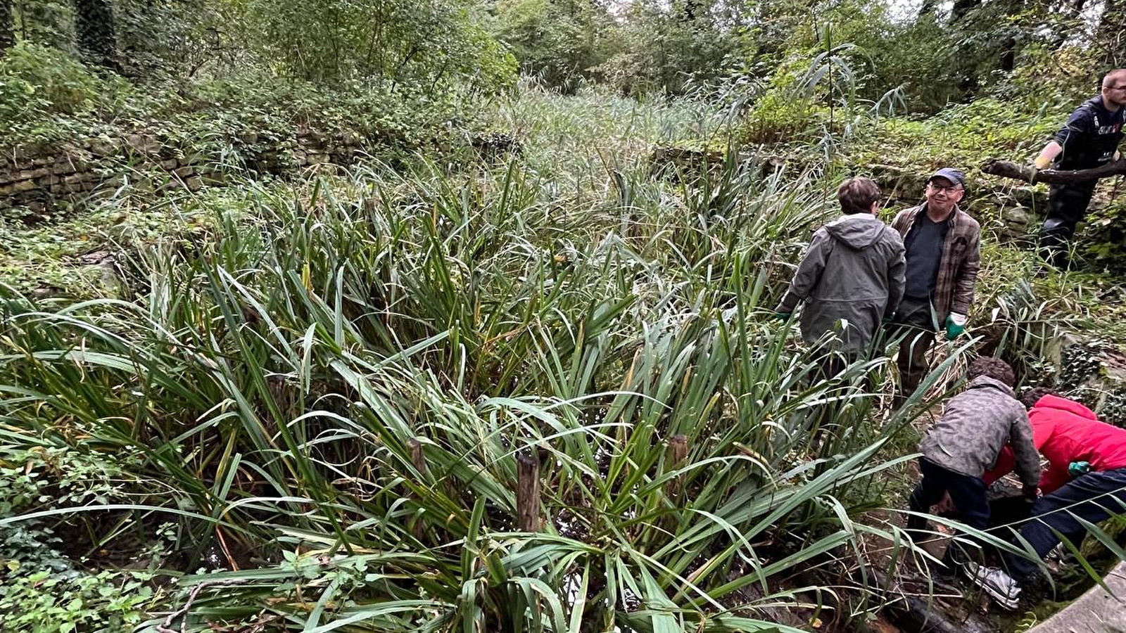 Chantier nature au bois du Ru de Pouilly_ENS2025