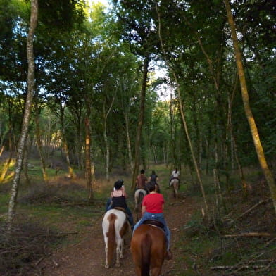 Balade à cheval par Mountain Farm