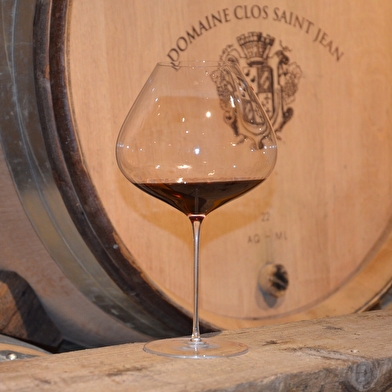 Des arômes du Vin au Parfum du vin
