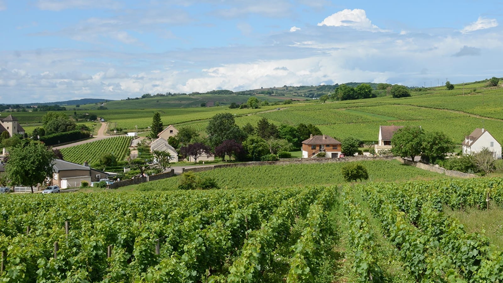 Santenay, la ville d’eau au pays du vin