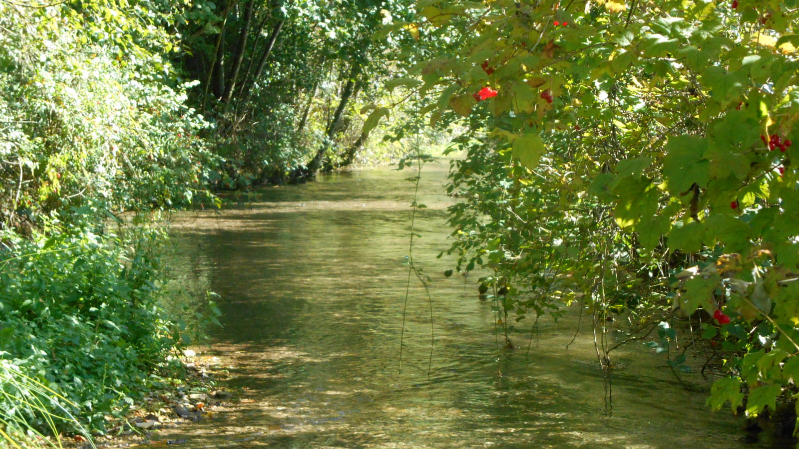 Balades naturalistes gratuites sur la nappe de Dijon Sud et de la Cent Fonts (Fénay-Saulon-la-Rue, Saulon-la-Chapelle, Noiron-Sous-Gevrey) - ENS2023
