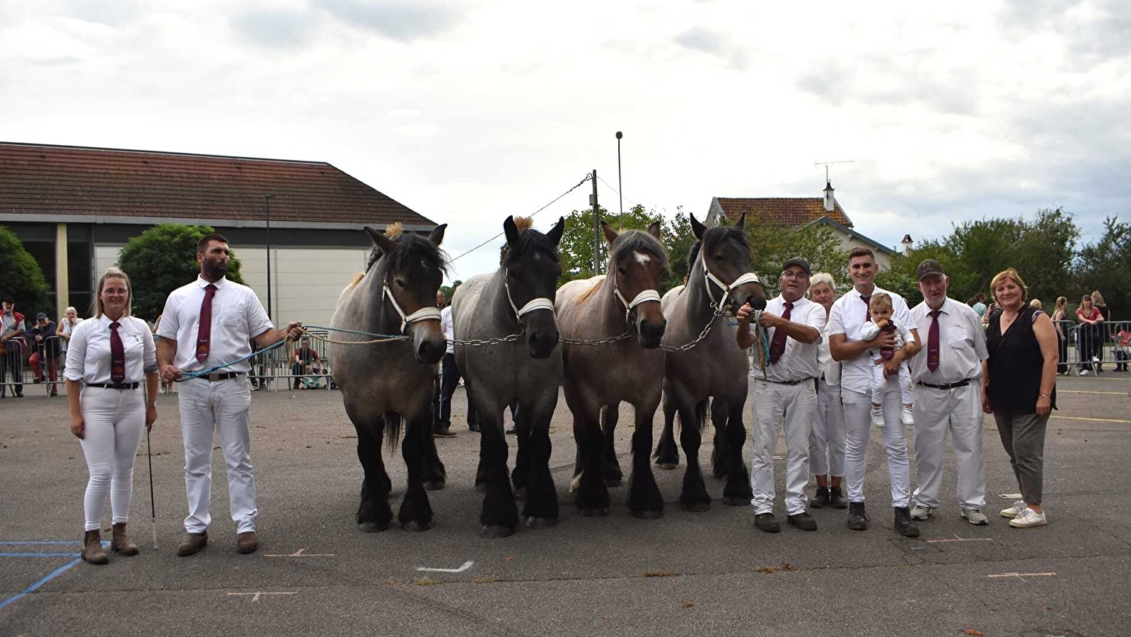 National du Cheval de Trait Auxois