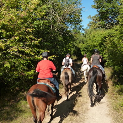 Balade à cheval par Mountain Farm