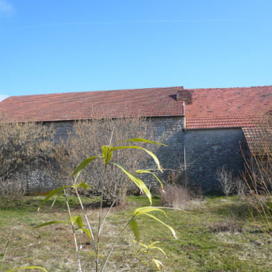 Frédéric Ménager - Ferme de la Ruchotte