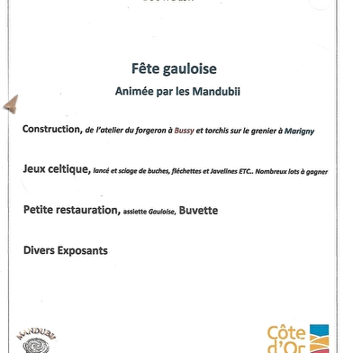 Fête gauloise