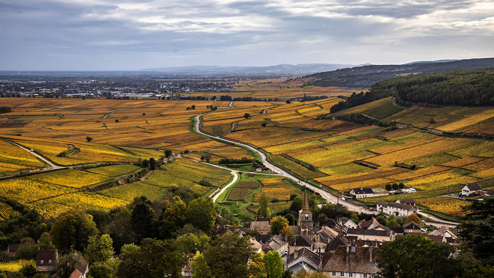 Chemins de Bourgogne - Matinée en Côte de Beaune en petit groupe