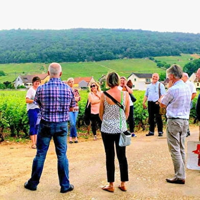 Clos de bourgogne, découverte des Secrets 'vigne et vin'