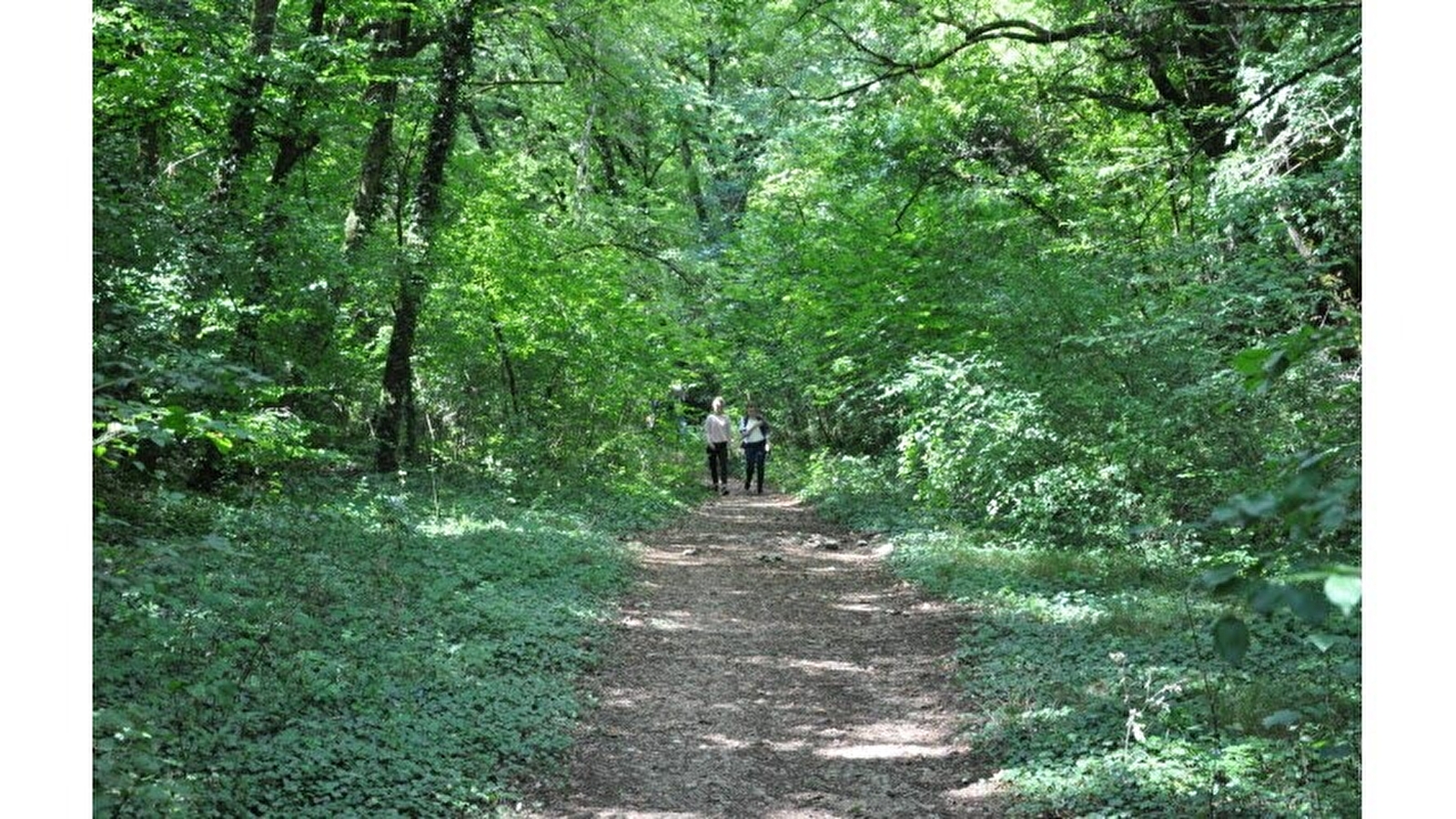 Parc écologique de la Combe Saint-Joseph