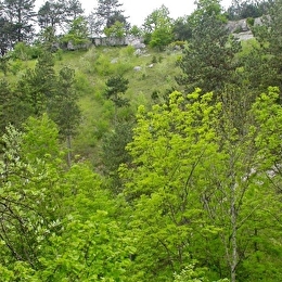 Cirque de la Coquille - ETALANTE
