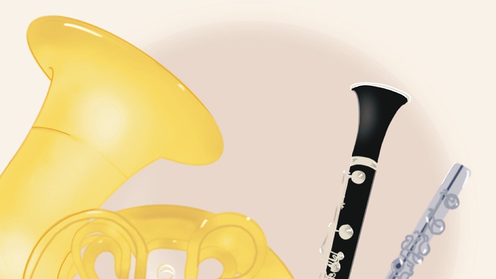 Concert de musique de chambre (quintette à vent)