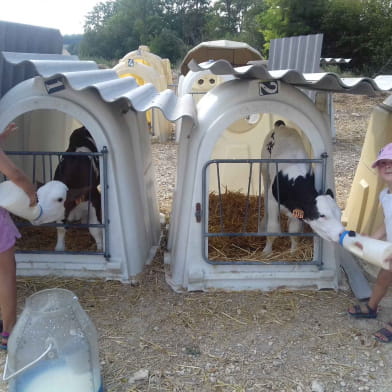 Ferme pédagogique du GAEC des 3 provinces