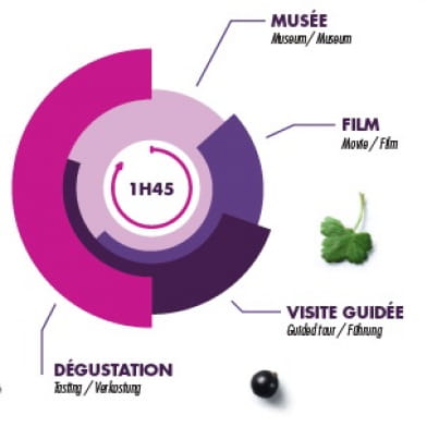 Le Cassissium