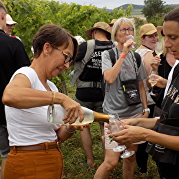 Rallye De Cep en Verre - Parking de la Mairie de Nolay (21340)