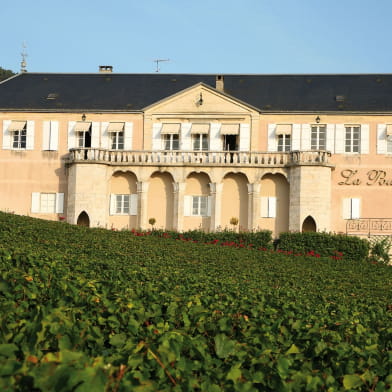 Domaine de la Pousse d'Or