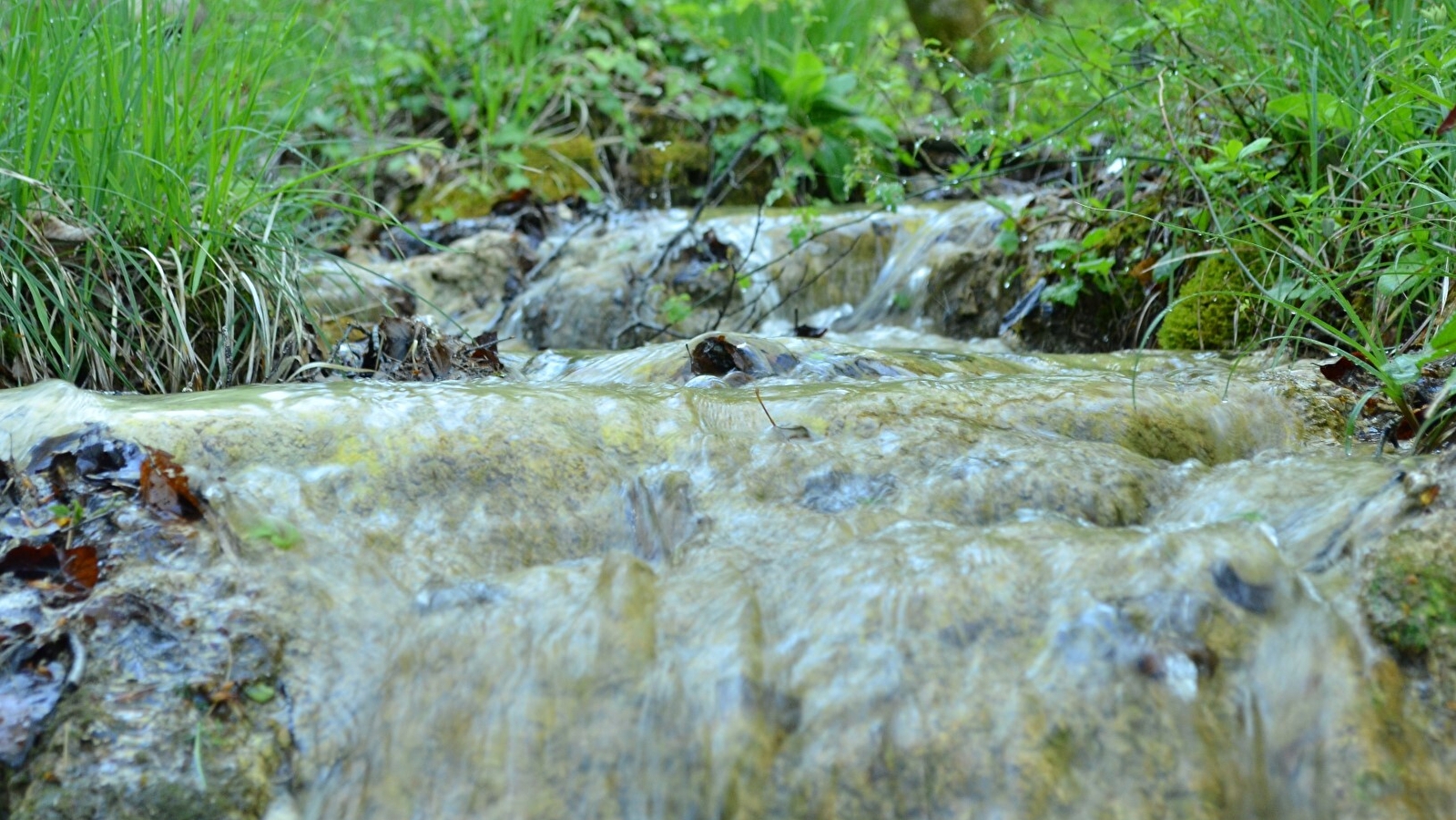 Les marais tufeux de pente _ENS2026 'sur réservation'
