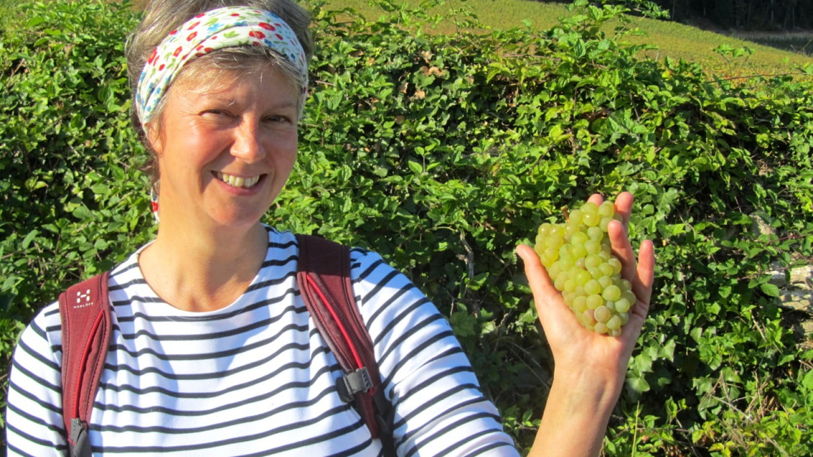 Visite guidée du vignoble de la Côte de Beaune