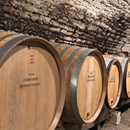 Guillemaud Bertrand - MEURSAULT