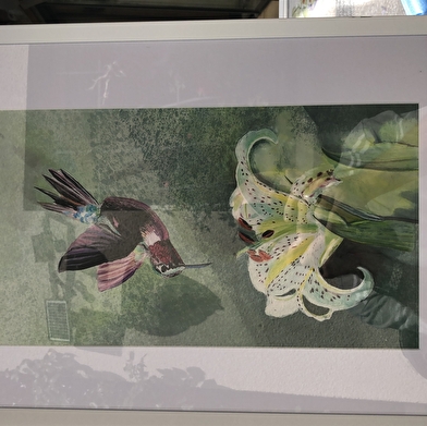 Peintures chinoises et peintures sur soie