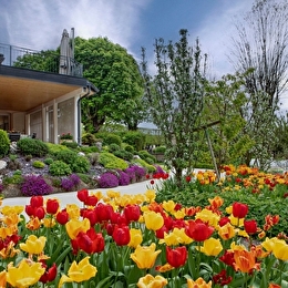 Nuits et Jardin - NUITS-SAINT-GEORGES
