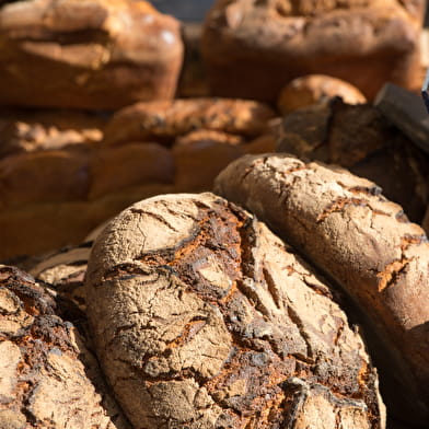Visite guidée Beaune Gourmand