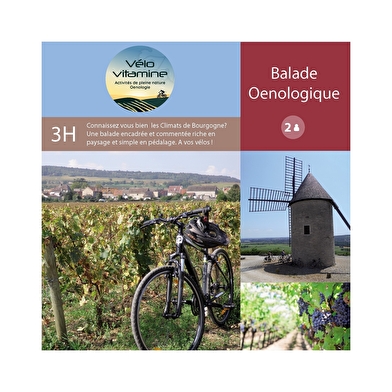 Velovitamine Balades oenologiques 'Côte de Nuits Grand Cru' de Nuits-St-Georges à Gevrey Chambertin