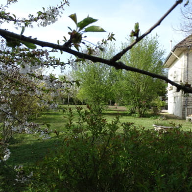 Au magnolia