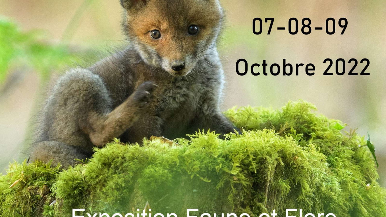 Festival Photographique Esprit Nature