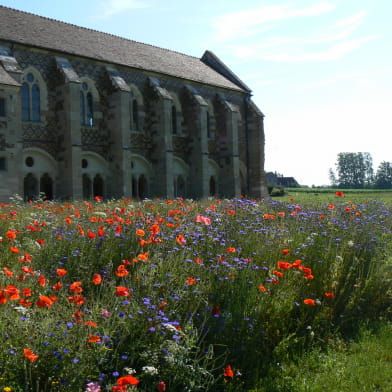 Abbaye de Cîteaux