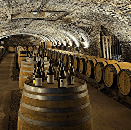 Hôtel-Dieu - Hospices de Beaune 
2026 - MOUVEMENT(S)
[MON HÔTEL-DIEU] L'hospitalité bourguignonne : le soin, le vin & le pain - BEAUNE